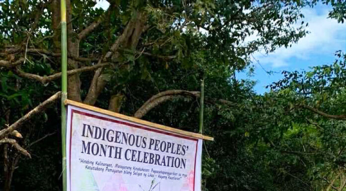 Clean energy company highlights IPs role in achieving sustainable future